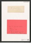 Diatomeae indet. Zeichnungen Sammlung Grunow (NHMW-BOT-W0367719)